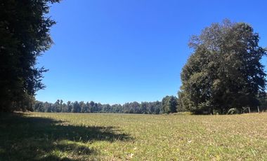 Oportunidad Parcelas Huiscapi Venta En Verde