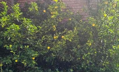 CASA EN VENTA EN CASAS BLANCAS MUNICIPIO MINERAL DEL CHICO