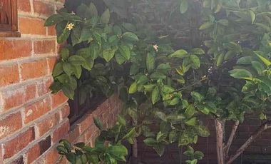 CASA EN VENTA EN CASAS BLANCAS MUNICIPIO MINERAL DEL CHICO