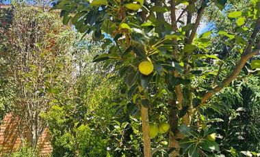 CASA EN VENTA EN CASAS BLANCAS MUNICIPIO MINERAL DEL CHICO