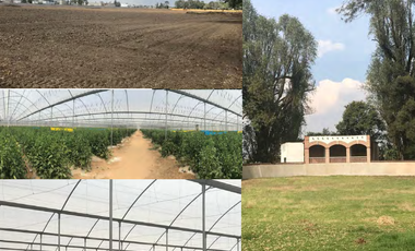 Terreno en venta en Texcoco