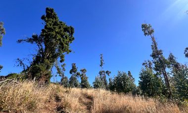 Oportunidad De Hermosas Parcelas Vista Al Volcán