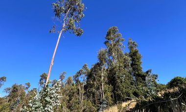 Oportunidad De Hermosas Parcelas Vista Al Volcán