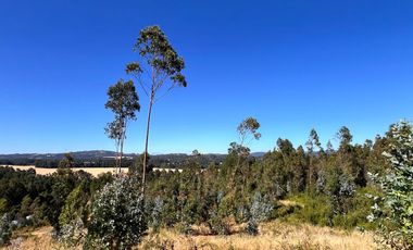 Oportunidad De Hermosas Parcelas Vista Al Volcán