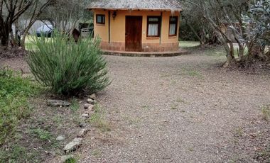 Venta casa-hotel Temático