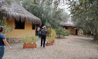 Venta casa-hotel Temático