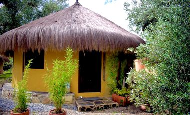 Venta casa-hotel Temático