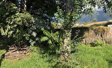 Terreno de venta en Natabuela, Los Óvalos, 436 m2