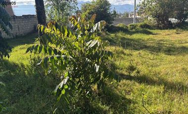 Terreno de venta en Natabuela, Los Óvalos, 436 m2