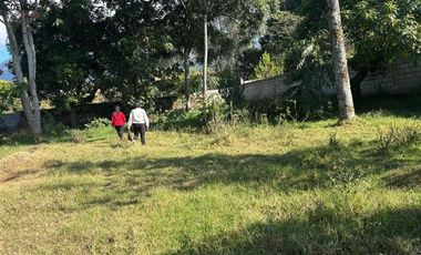 Terreno de venta en Natabuela, Los Óvalos, 436 m2