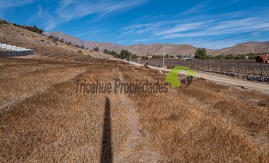 Parcelas  a 10 minutos de Vicuña. Electricidad y agua de riego. Entre $40 y $75 millones