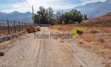 Parcelas  a 10 minutos de Vicuña. Electricidad y agua de riego. Entre $40 y $75 millones