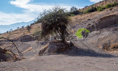 Parcelas  a 10 minutos de Vicuña. Electricidad y agua de riego. Entre $40 y $75 millones