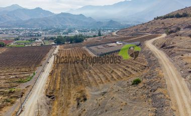Parcelas  a 10 minutos de Vicuña. Electricidad y agua de riego. Entre $40 y $75 millones