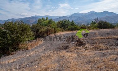 Parcelas  a 10 minutos de Vicuña. Electricidad y agua de riego. Entre $40 y $75 millones
