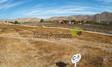 Parcelas  a 10 minutos de Vicuña. Electricidad y agua de riego. Entre $40 y $75 millones