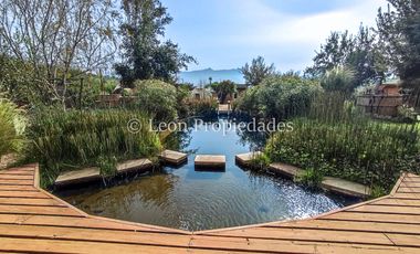 Leon Propiedades arrienda gran y hermosa casa en sector Lo Águila, Curacaví.