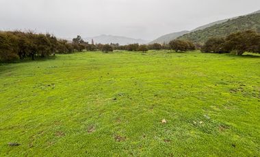 VENDO PARCELA 10.000 MTS EXCELENTE UBICACION CURACAVI