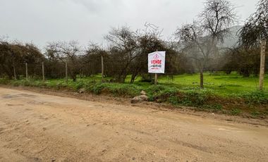 VENDO PARCELA 10.000 MTS EXCELENTE UBICACION CURACAVI