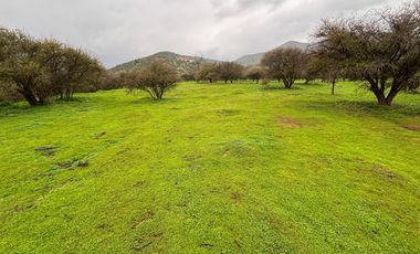 VENDO PARCELA 10.000 MTS EXCELENTE UBICACION CURACAVI