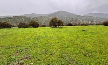 VENDO PARCELA 10.000 MTS EXCELENTE UBICACION CURACAVI