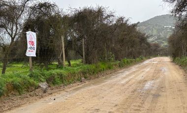 VENDO PARCELA 10.000 MTS EXCELENTE UBICACION CURACAVI