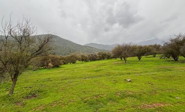 VENDO PARCELA 10.000 MTS EXCELENTE UBICACION CURACAVI