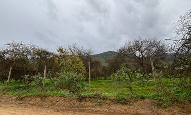 VENDO PARCELA 10.000 MTS EXCELENTE UBICACION CURACAVI