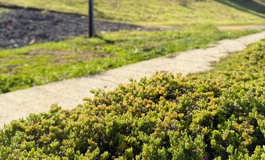 Vendo  Con Rol Propio en  Arrayán de Marchigüe