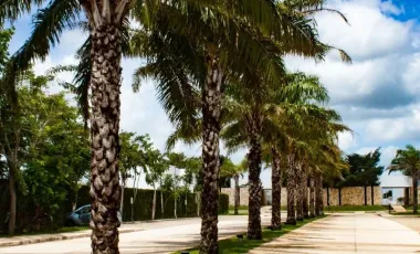 Terreno en Venta en Privada Zentura