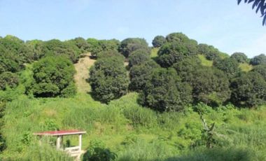 Agricultural property for sale in San Miguel, Bohol