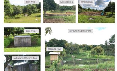 Agricultural property for sale in San Miguel, Bohol