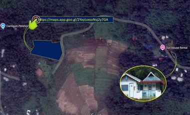 ABANDONED RESIDENTIAL LOT