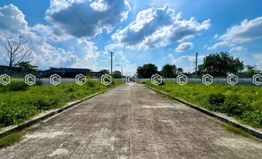 FOR SALE: 2,246 SQM FULLY FENCED RESIDENTIAL LOT IN TARLAC CITY 🏘️