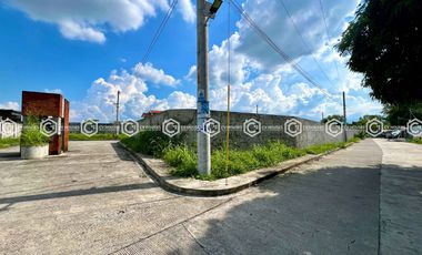 FOR SALE: 2,246 SQM FULLY FENCED RESIDENTIAL LOT IN TARLAC CITY 🏘️