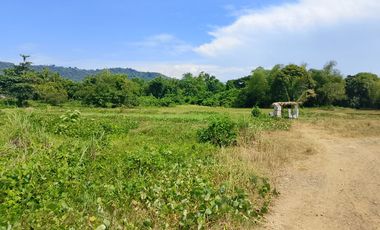 Lot for Sale in Ivisan – Ideal for Residential Development