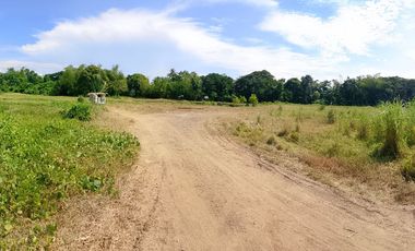 Lot for Sale in Ivisan – Ideal for Residential Development