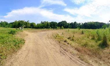 Lot for Sale in Ivisan – Ideal for Residential Development