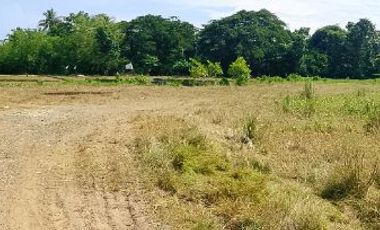 Lot for Sale in Ivisan – Ideal for Residential Development