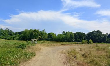 Lot for Sale in Ivisan – Ideal for Residential Development