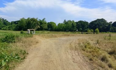 Lot for Sale in Ivisan – Ideal for Residential Development