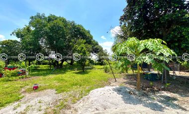 FOR SALE: PRIME 5,263 SQM PROPERTY WITH RENTAL UNITS IN BAMBAN 🏢