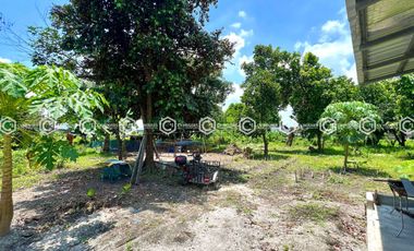 FOR SALE: PRIME 5,263 SQM PROPERTY WITH RENTAL UNITS IN BAMBAN 🏢
