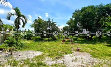 FOR SALE: PRIME 5,263 SQM PROPERTY WITH RENTAL UNITS IN BAMBAN 🏢