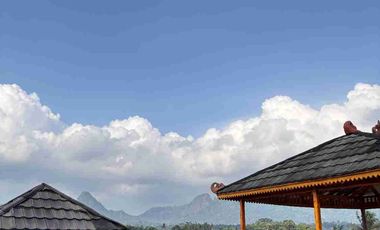 TANAH VILLA EXLUSIVE BISA BANGUN PERMANEN (FREE BIBIT MANGGA)