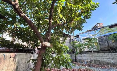 𝐅𝐎𝐑 𝐒𝐀𝐋𝐄: 𝐂𝐎𝐌𝐌𝐄𝐑𝐂𝐈𝐀𝐋 𝐋𝐎𝐓 𝐀𝐋𝐎𝐍𝐆 𝐙𝐎𝐁𝐄𝐋 𝐑𝐎𝐗𝐀𝐒 𝐒𝐓., 𝐒𝐓𝐀. 𝐀𝐍𝐀, 𝐌𝐀𝐍𝐈𝐋𝐀 𝐍𝐄𝐀𝐑 𝐌𝐀𝐊𝐀𝐓𝐈 𝐂𝐈𝐓𝐘!