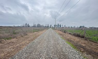 Parcelas de 5.000M2 km 14 camino a Coihueco sector Talquipen