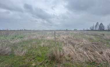 Parcelas de 5.000M2 km 14 camino a Coihueco sector Talquipen