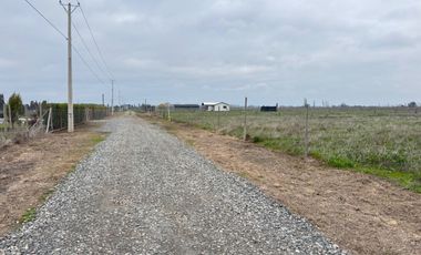Parcelas de 5.000M2 km 14 camino a Coihueco sector Talquipen
