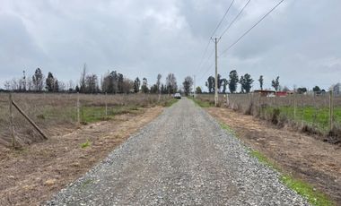 Parcelas de 5.000M2 km 14 camino a Coihueco sector Talquipen